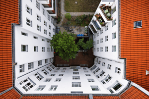 Provisionsfrei! Charmante vermietete 2-Zimmer-Altbauwohnung mit Südbalkon (WE25) – 13359 Berlin – Vorschaubild 2
