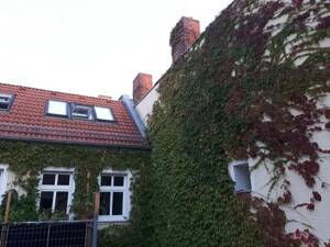 Stilvolle Maisonette mit Dachgeschossflair im Herzen des Prenzlauer Bergs – 10437 Berlin – Vorschaubild 8