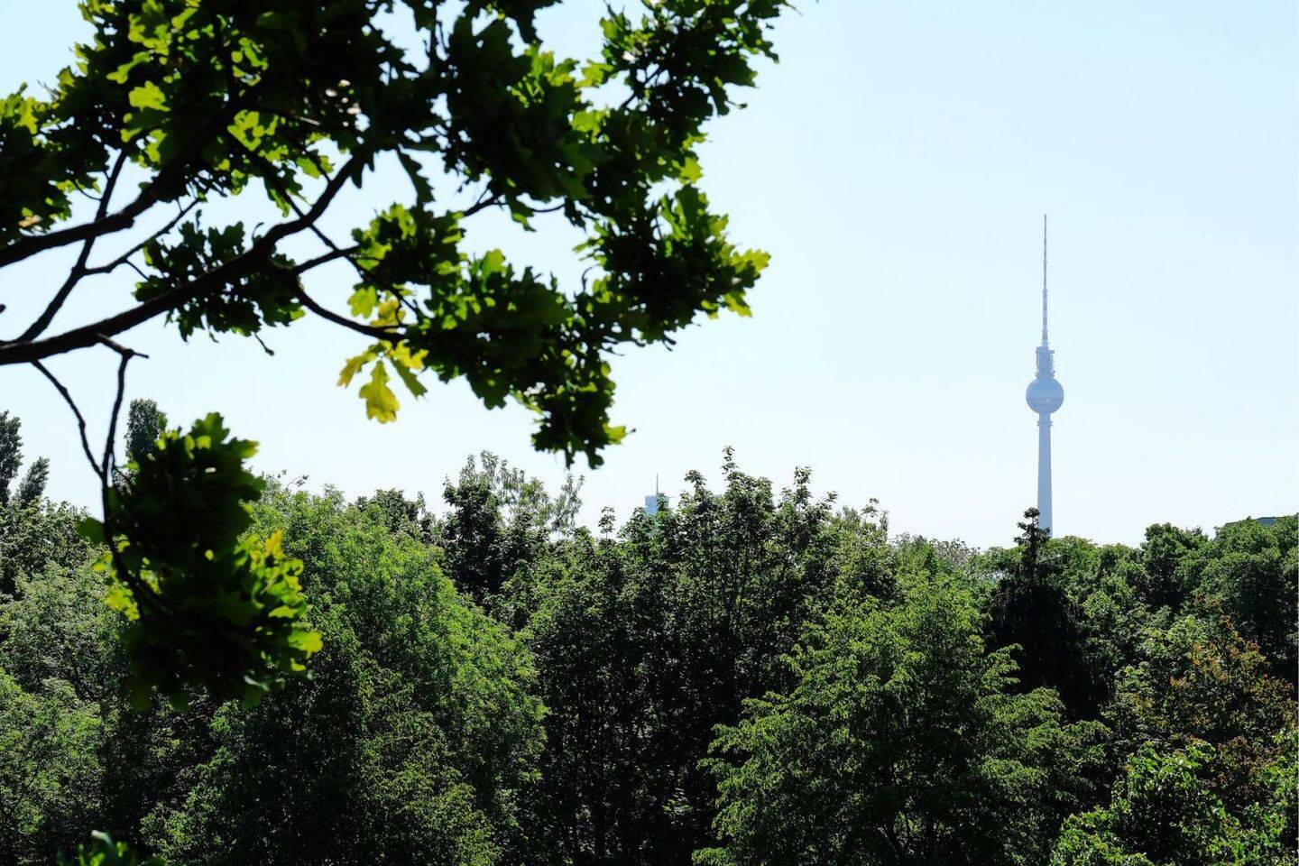 Altbaucharme trifft Renditechance – Berlin – Vorschaubild 5