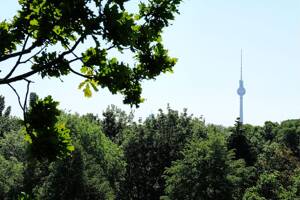 Altbaucharme trifft Renditechance – 10247 Berlin – Vorschaubild 5