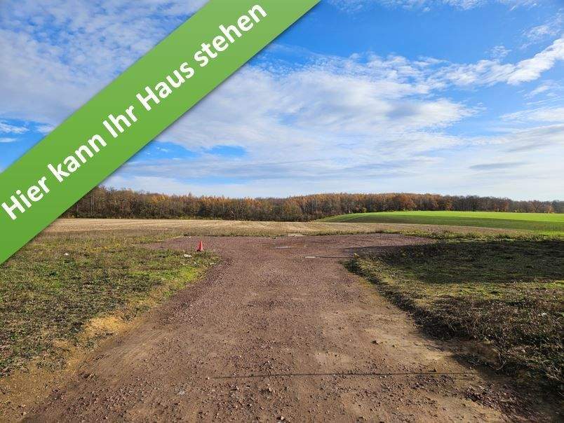 Mit Grundstück, ein Bungalow, der begeistert in Harbke. – Eilsleben – Bild 1 von 9