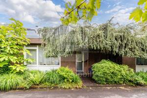 Gemütlicher Bungalow mit besonderem Ambiente