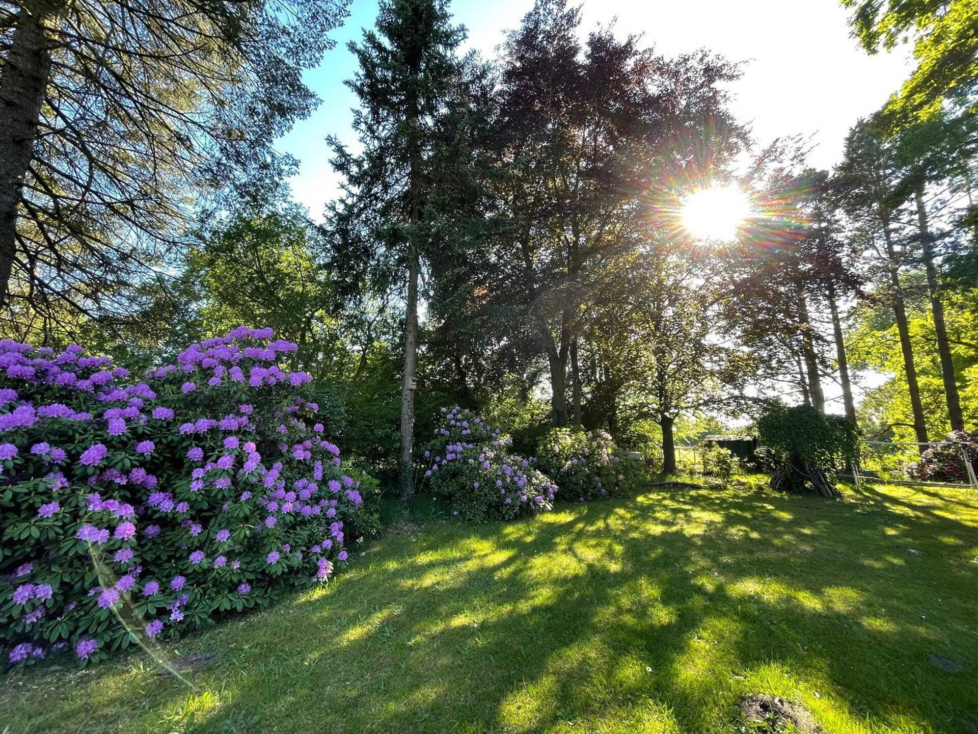 Haus in 22880 Wedel mit 180 m² kaufen