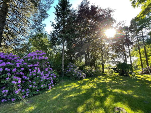 Haus in 22880 Wedel mit 180 m² kaufen
