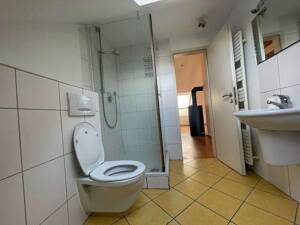 Renovierte und leerstehende 1,5 ZKB-Dachgeschosswohnung in LU-Mundenheim (3 Parteienhaus)! – 67065 Ludwigshafen am Rhein – Vorschaubild 9