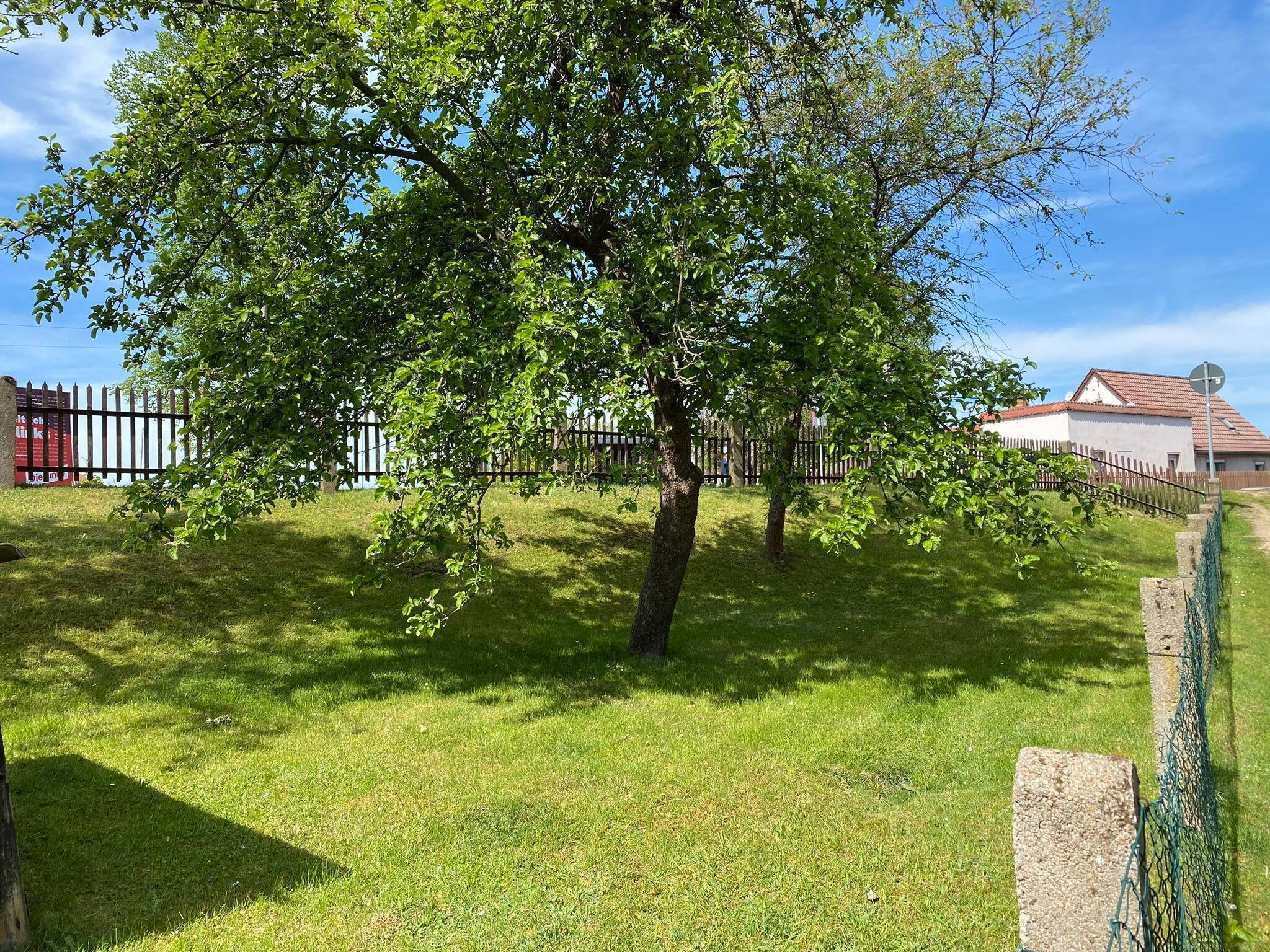 Wohnhaus in zentraler Lage mit Garten – Rothenburg/Oberlausitz – Vorschaubild 4